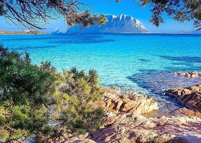 Porto Istana Daire *