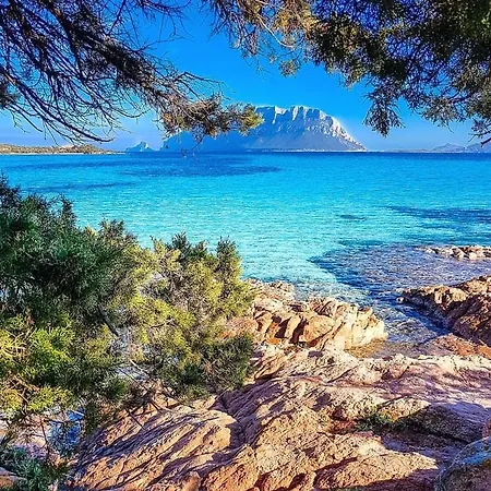 Porto Istana Lägenhet *